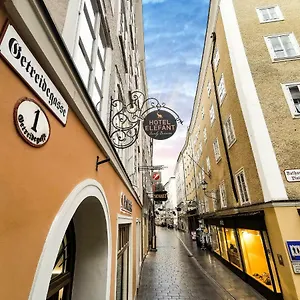 Elefant Family Business 2*, Salzburg Österreich